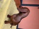 D09B0504-8324-474A-AC23-403E99D765B5