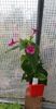 received_497500902247704