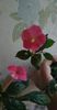 received_1282584099188265