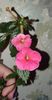 received_644210253898639