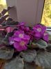 IMG-20221006-WA0003