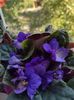 IMG-20221006-WA0000
