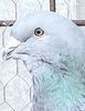 Screenshot_20220923-163200_Gallery