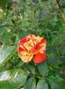 IMG20221010101601