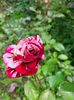 IMG20221011120951