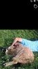 Screenshot_20200603-192128
