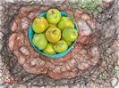 w-Pere de toamna-Autumn pears 04