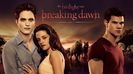 Twilight Saga :  Breaking Dawn 1