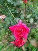 IMG20221012175629