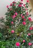 E84024BD-C033-4428-A740-63E1CF288D25