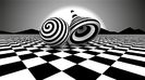 Black White illusion