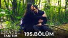Seher ve Yaman
