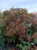 Img.2022.10.20