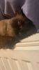 IMG-20220207-WA0003