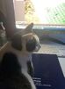 IMG-20220210-WA0002