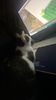 IMG-20220210-WA0003