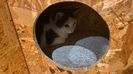 IMG-20220210-WA0005