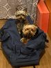 IMG-20220211-WA0010