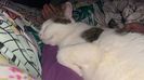 IMG-20220212-WA0022