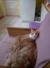 IMG-20220216-WA0000