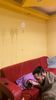 IMG-20220220-WA0013