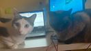 IMG-20220222-WA0001