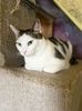 IMG-20220223-WA0008