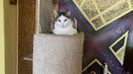 IMG-20220223-WA0009