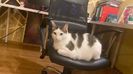 IMG-20220226-WA0011