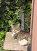 IMG-20220303-WA0012