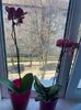 IMG-20220311-WA0020