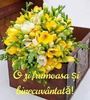 IMG-20220313-WA0000