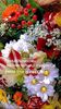 IMG-20220313-WA0002