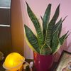 IMG-20220318-WA0000