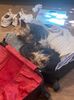 IMG-20220319-WA0000