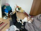 IMG-20220420-WA0002