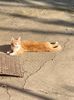 IMG-20220425-WA0012