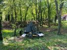 IMG-20220430-WA0013