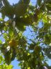 IMG-20220430-WA0024