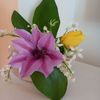 IMG-20220507-WA0004