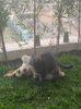IMG-20220511-WA0012