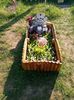 IMG-20220516-WA0023
