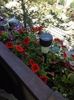 IMG-20220516-WA0026
