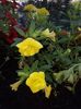 IMG-20220516-WA0028