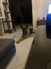 IMG-20220518-WA0000