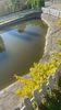 IMG-20220520-WA0010
