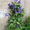 IMG-20220525-WA0001