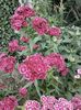 IMG-20220525-WA0003