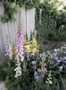 IMG-20220525-WA0007