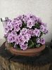 IMG-20220525-WA0008